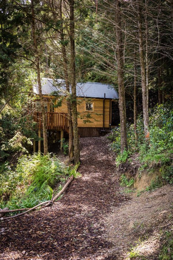 Maitai Whare Iti - Adventure Cabins & House Нельсон Экстерьер фото