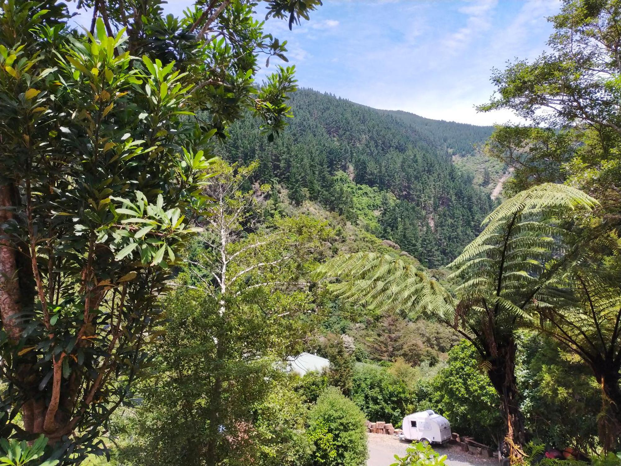 Maitai Whare Iti - Adventure Cabins & House Нельсон Экстерьер фото